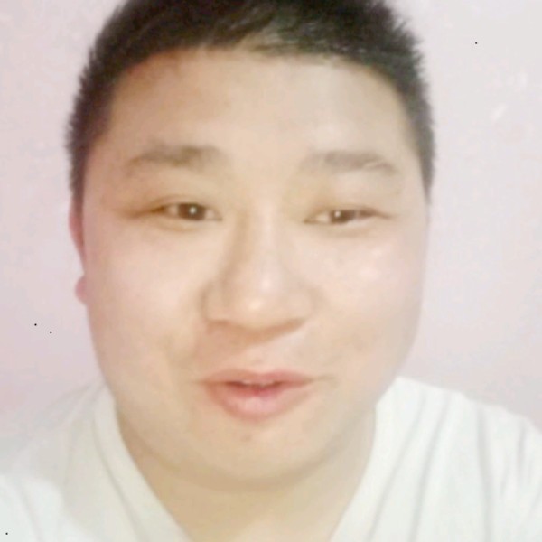 听话的小灰灰的照片