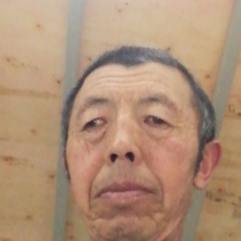 猎豹等于结实的照片