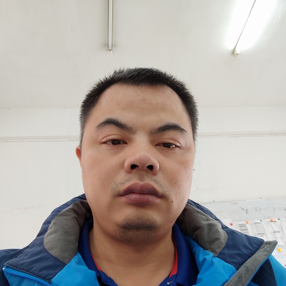 迷失的牛的照片