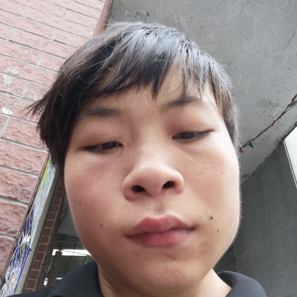 半夏的彩色的照片