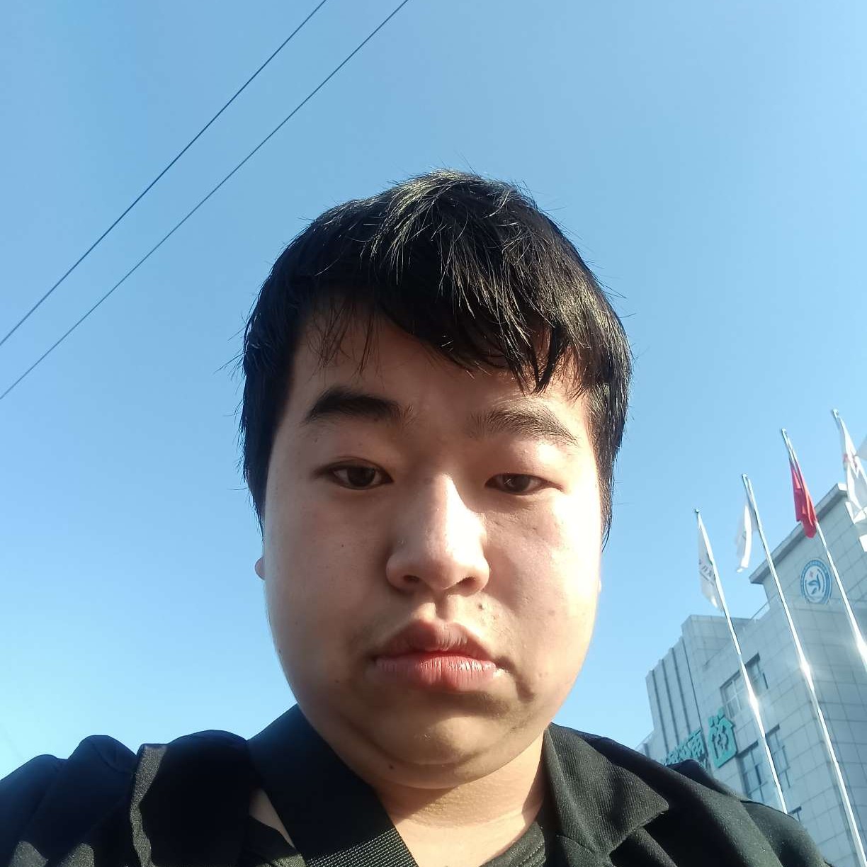 乌龟踢谨慎的照片