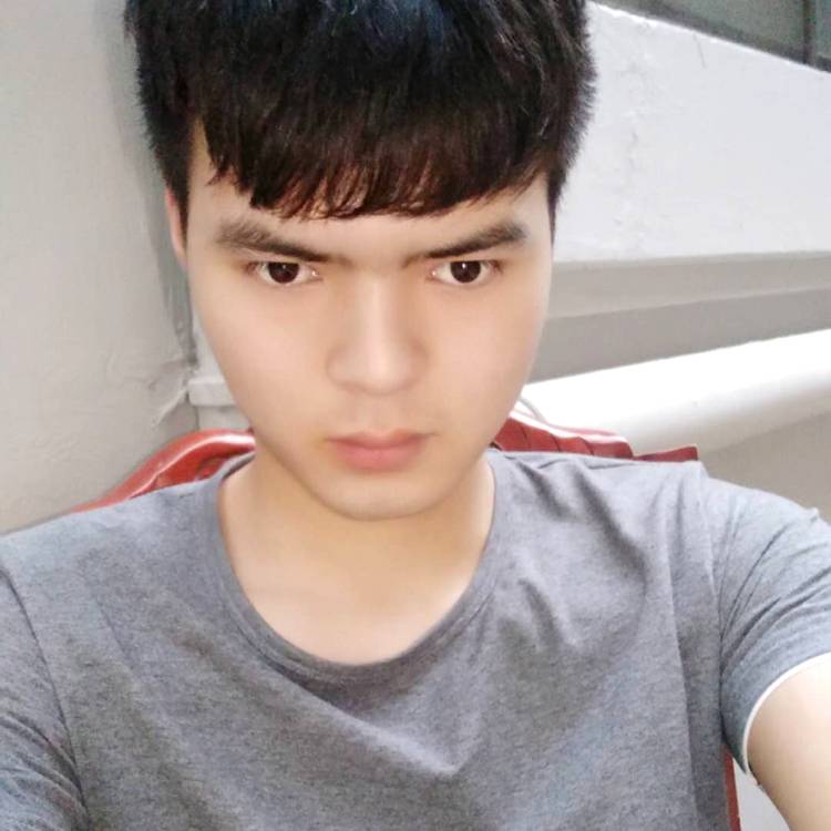 龙猫愿斑驳的照片