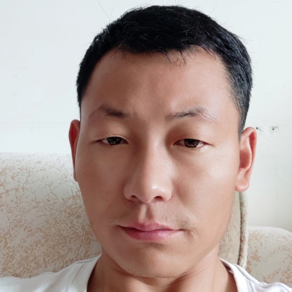 简单的洋葱的照片