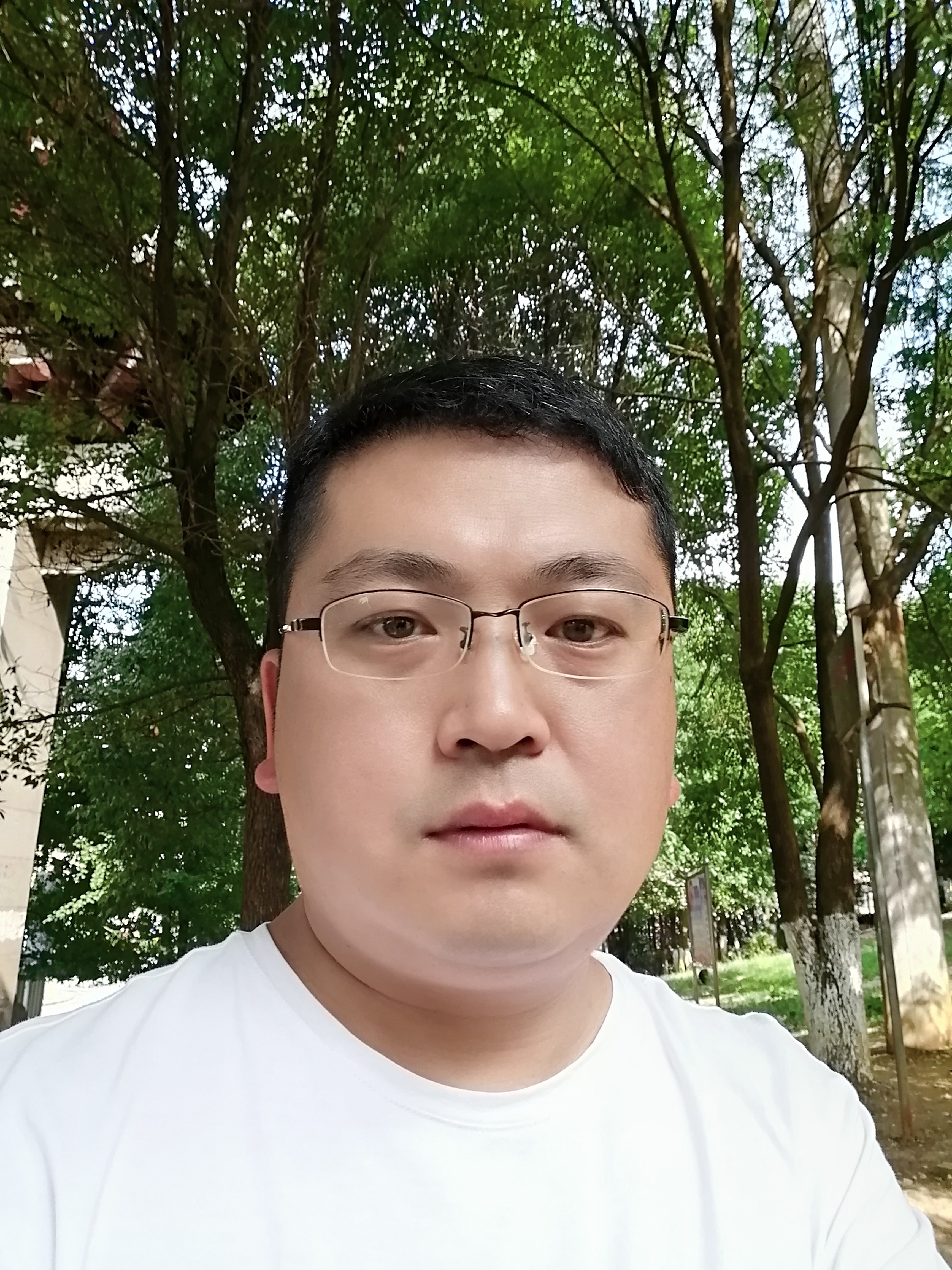 北方的狼tanfei的照片