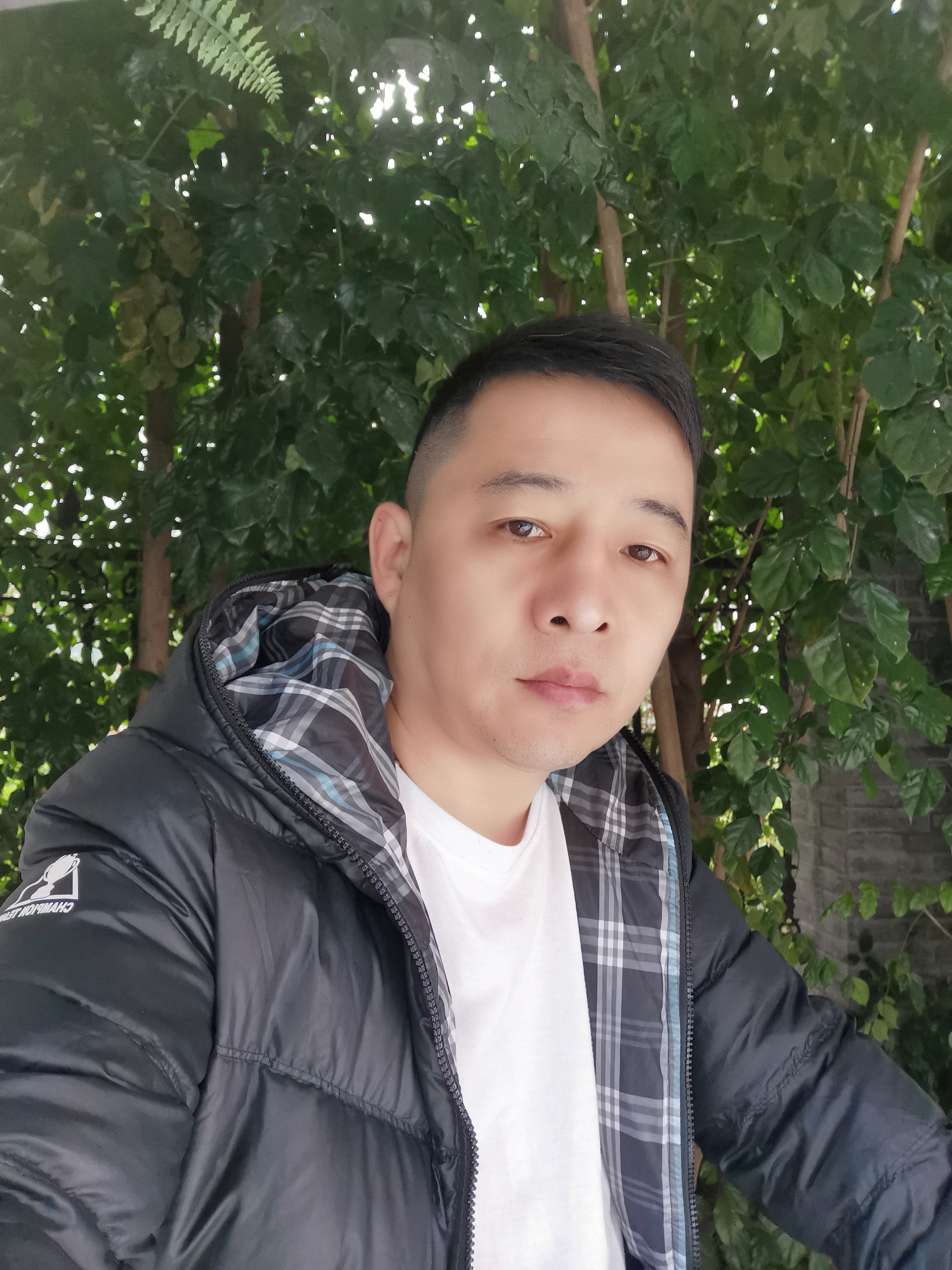 懂者无言的照片