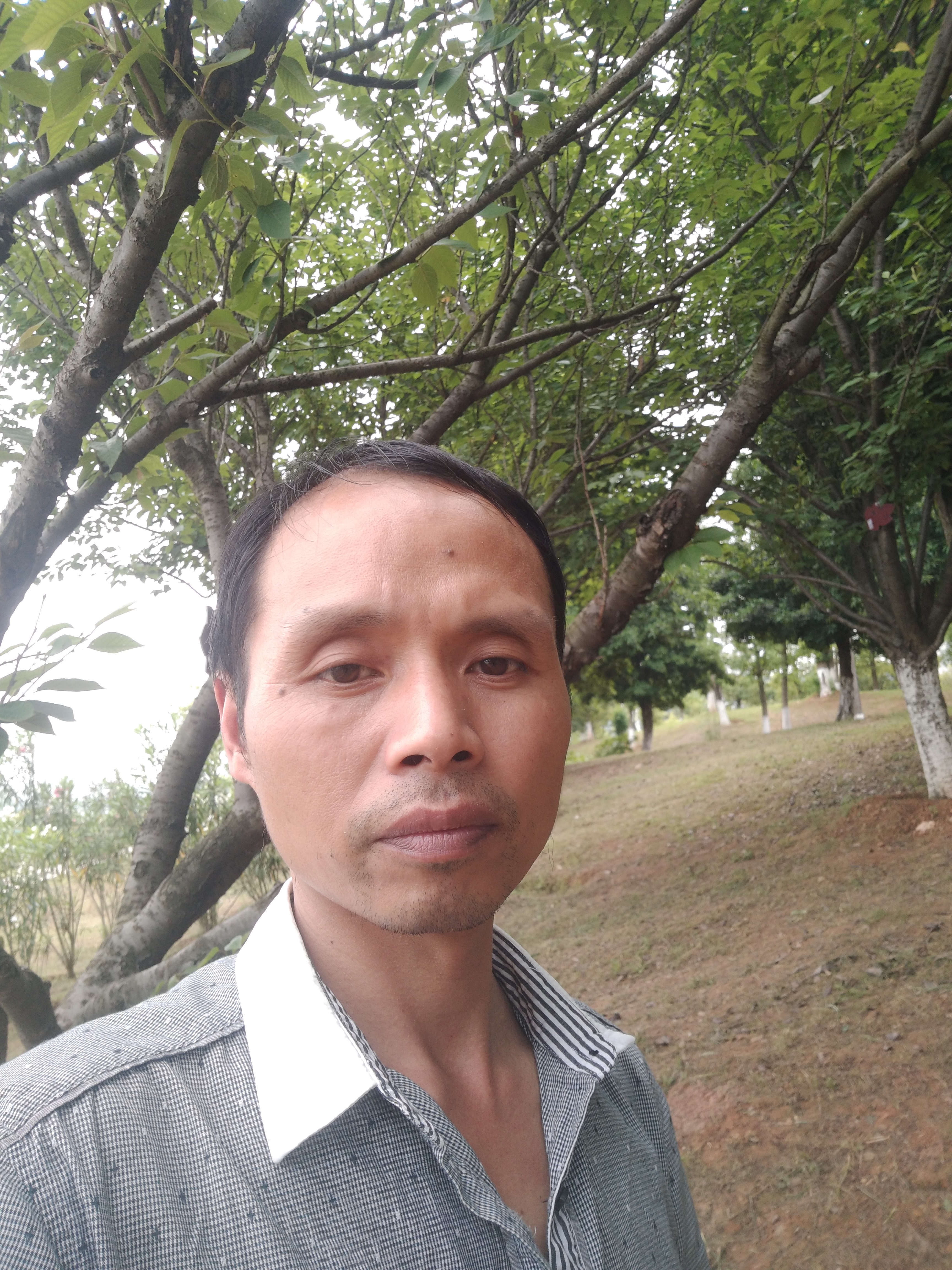 会员737780586的照片