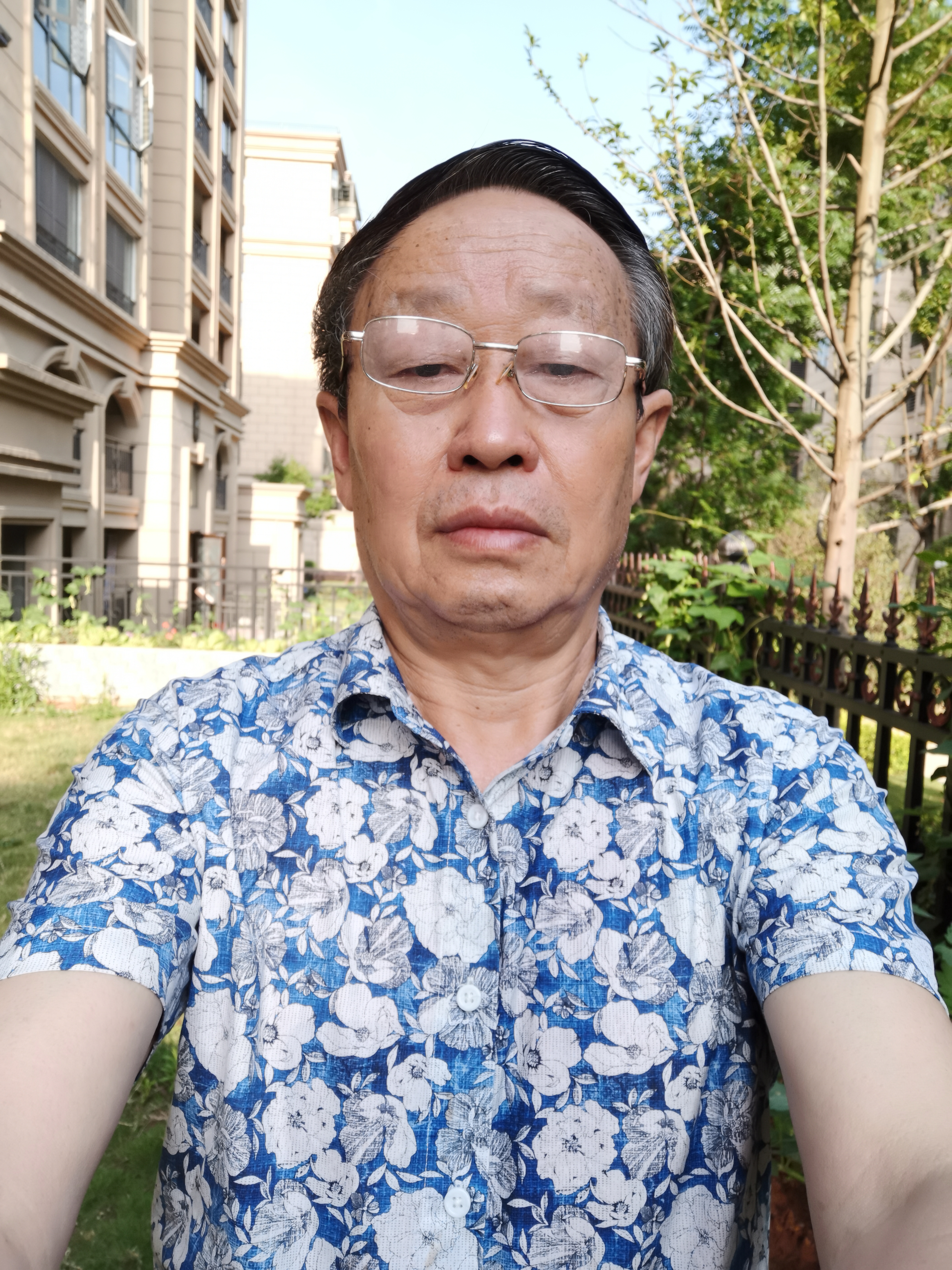 于羊的照片