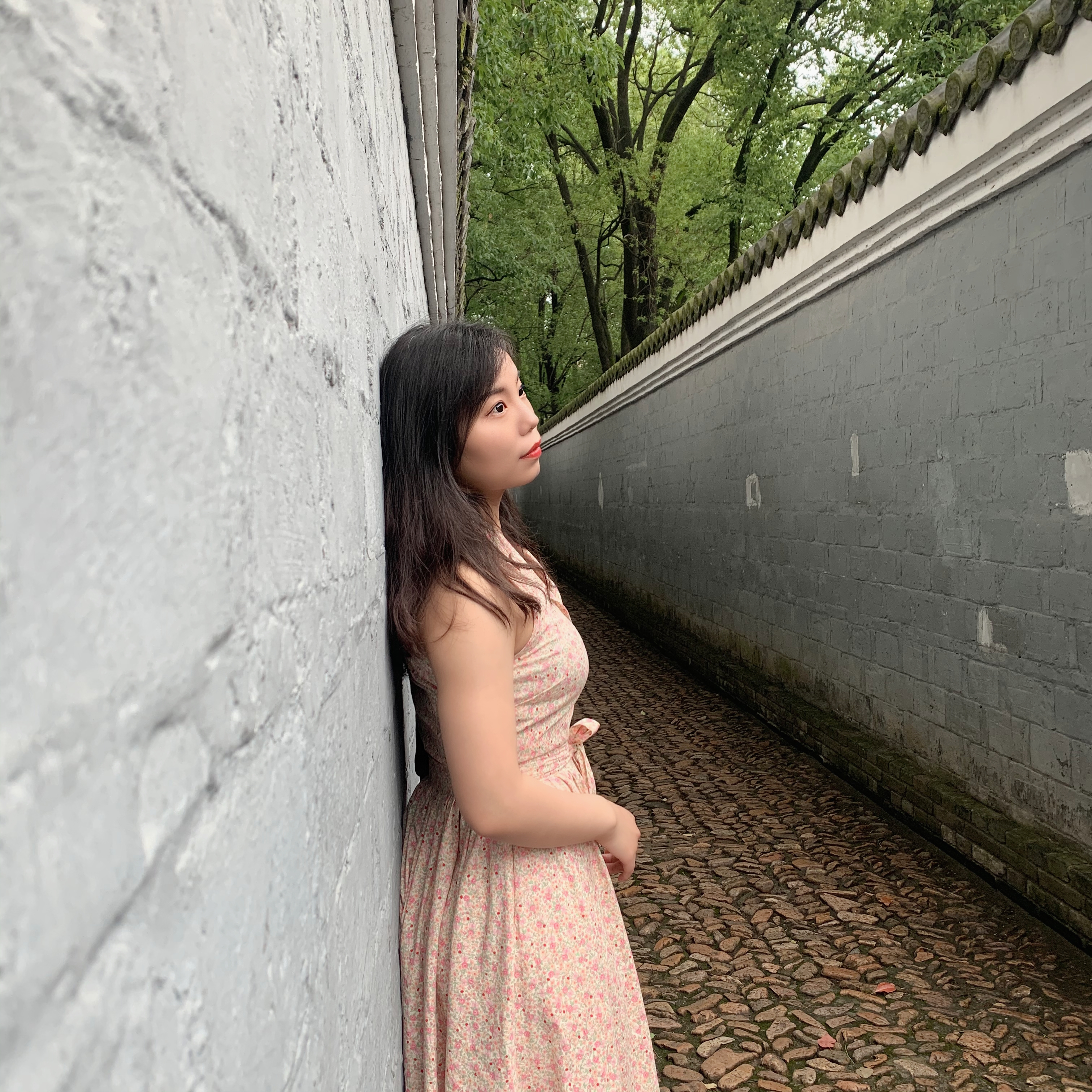 会员917681621的照片