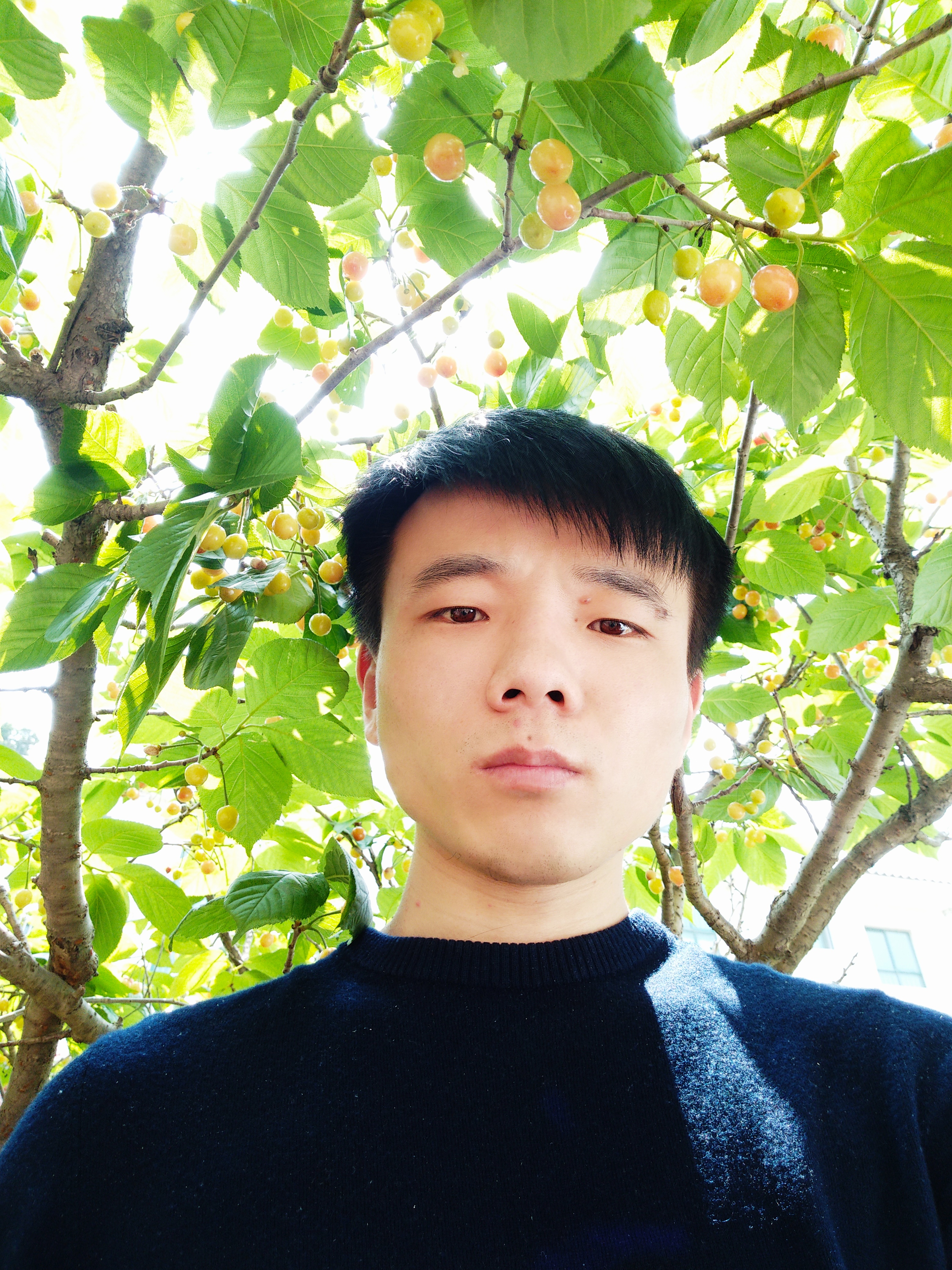 会员355480840的照片